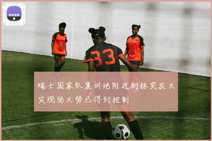 瑞士国家队集训地附近树林突发火灾现场火势已得到控制
